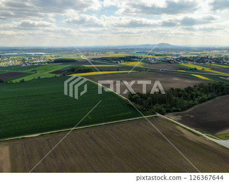 Fields of agricultural crops around the village of Bielany Wroclawskie Fields of agricultural crops around the village of Bielany Wroclawskie 126367644