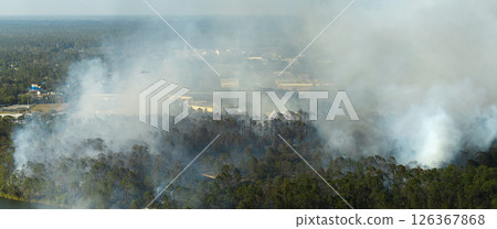 Dangerous wildfire burning severely in Florida jungle woods. Hot flames in dense forest. Toxic smoke polluting atmosphere 126367868