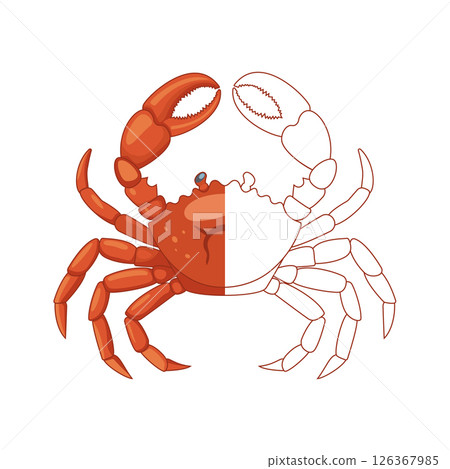 Cute crab coloring page for kids. 126367985