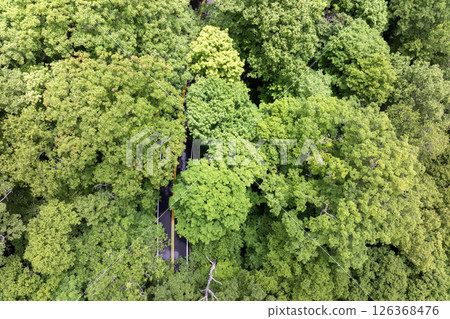 Blue Ridge Parkway road trip. Driving car exploration travel in summer forest on Appalachian mountain hills in North Carolina. Summertime landscape of beautiful nature 126368476