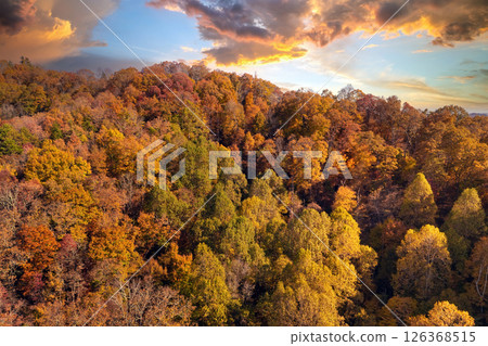 Appalachian mountain hills on autumn evening with brightly illuminated lush and pine woods at fall season. Autumnal landscape of beautiful nature Appalachian mountain hills on autumn evening with brightly illuminated lush and pine woods at fall season. Autumnal landscape of beautiful nature 126368515