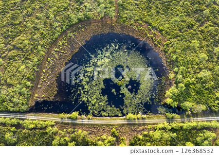 Amazing Florida nature. Swamp lake with floating water lilies in southern tropical wetlands Amazing Florida nature. Swamp lake with floating water lilies in southern tropical wetlands 126368532