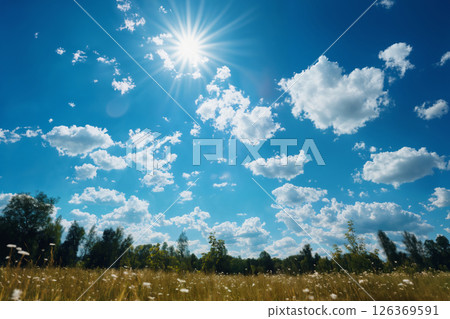 beautiful summer landscape, blooming wild flowers in meadow, forest in the distance, blue sky with clouds, bright sunny day 126369591