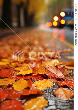 wet autumn road with yellow leaves and cars, rainy city street with streetlights in the evening as blurred background, beautiful autumn nature wet autumn road with yellow leaves and cars, rainy city street with streetlights in the evening as blurred background, beautiful autumn nature 126370363