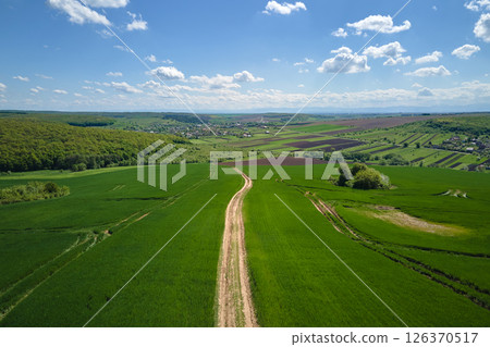 Aerial landscape of green farmland in summer season with growing crops. Agricultural cultivated field. Farming and agriculture industry Aerial landscape of green farmland in summer season with growing crops. Agricultural cultivated field. Farming and agriculture industry 126370517