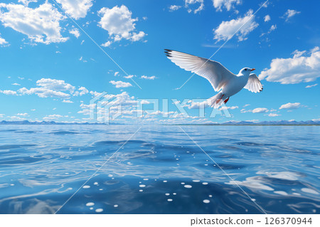 A white seagull flies over the water against a bright blue sky with white clouds A white seagull flies over the water against a bright blue sky with white clouds 126370944