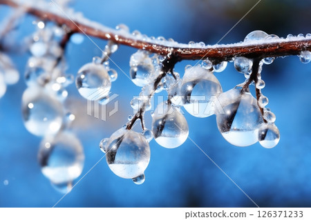 water droplets on a tree branch, frozen in ice, cold in the winter season, close view, dark background of nature 126371233