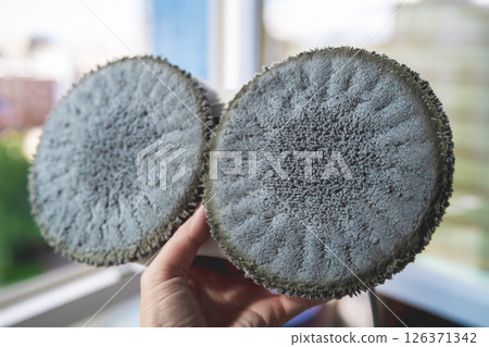 Dirty wipes on the window cleaner robot after work Dirty wipes on the window cleaner robot after work 126371342