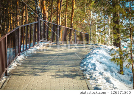 Concrete block paved path bordered by a metal fence and snow going slightly uphill towards a stairway in a park with pine and birch trees during winter Concrete block paved path bordered by a metal fence and snow going slightly uphill towards a stairway in a park with pine and birch trees during winter 126371860