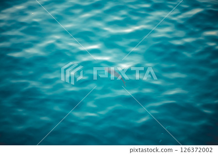 Water texture with waves and splashes from fish, Water texture, fish swimming underwater, natural natural water, sea background 126372002