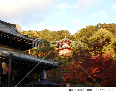 秋葉環繞的山寺夜景 126372202