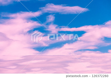 Magic pink cumulus clouds in blue sky, sunset, sunrise 126372260
