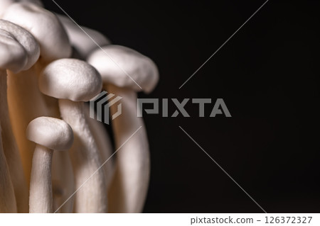 Closeup of a bunch of shimeji mushrooms on dark background, with selective focus Closeup of a bunch of shimeji mushrooms on dark background, with selective focus 126372327