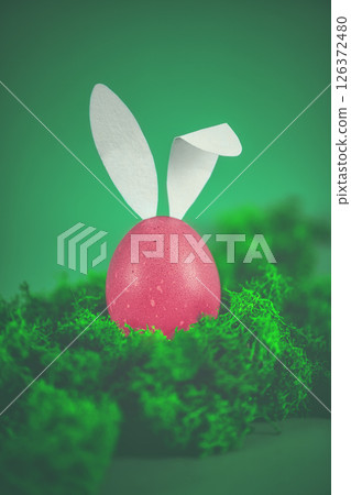 easter pink egg with white rabbit ears among green moss. creative minimalistic easter photo 126372480