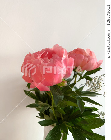 Lush pink peonies in elegant vase surrounded by delicate greenery, floral arrangement concept Lush pink peonies in elegant vase surrounded by delicate greenery, floral arrangement concept 126373011