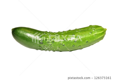 Fresh green cucumber. 126373161