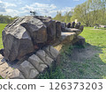Massive Wooden Hand Carved into Artistic Park Bench 126373203