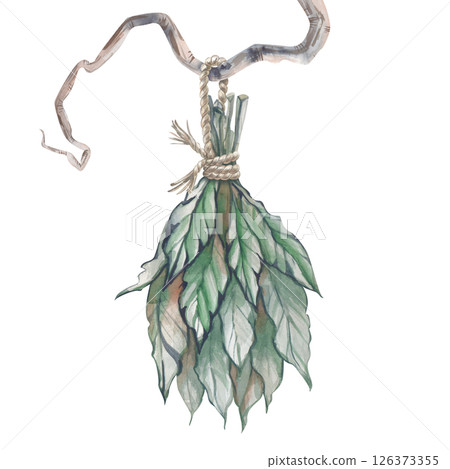 A watercolor bunch of grass is drying on a branch, tied with a jute rope. Illustration of drying green grass in suspension. Kitchen or pantry wall decor. Spice stocks 126373355