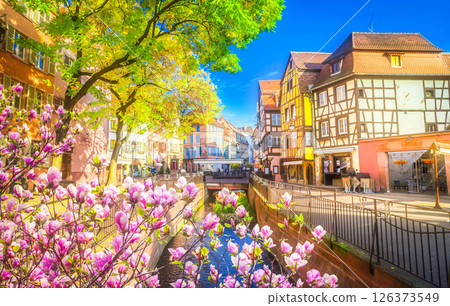 Colmar, beautiful town of Alsace, France 126373549