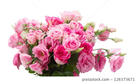 Close up of pink eustoma flowers 126373671