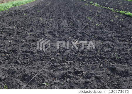 Chernozem is a dark-colored soil with a high content of humus - organic matter, formed in the dry climate of the steppe zone 126373675