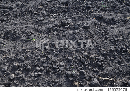 Chernozem is a dark-colored soil with a high content of humus - organic matter, formed in the dry climate of the steppe zone 126373676