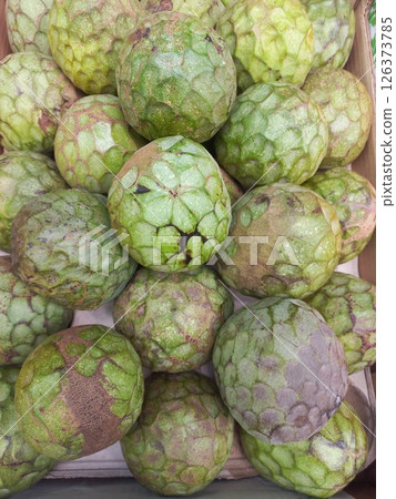 Fresh cherimoya annona cherimola fruit display in market for culinary use. Green fruit background Fresh cherimoya annona cherimola fruit display in market for culinary use. Green fruit background 126373785