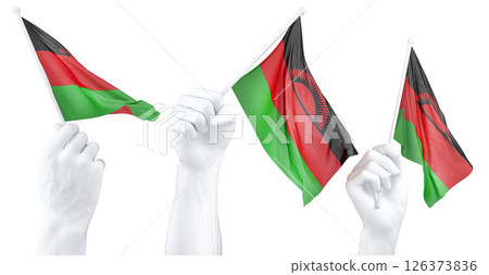 Hand holding flag of Malawi. Isolated 3d Rendering 126373836