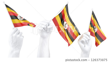 Hand holding flag of Uganda. Isolated 3d Rendering Hand holding flag of Uganda. Isolated 3d Rendering 126373875
