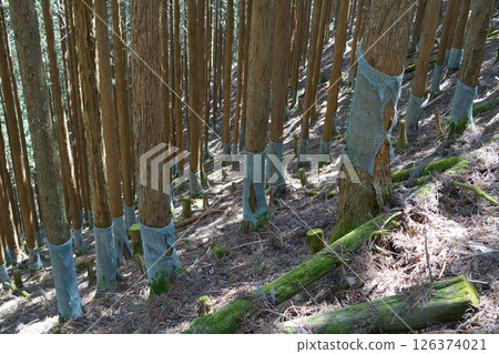 Deer repellent Deer repellent 126374021