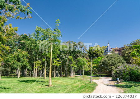 Tree Grove and Pavilion in Turia Gardens Valencia 126374037