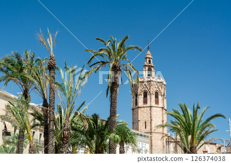 Palm-Framed Miguelete Tower at Valencia Cathedral Palm-Framed Miguelete Tower at Valencia Cathedral 126374038