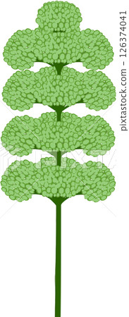 Beautiful shape and colors of green blossom flower petals. Beautiful shape and colors of green blossom flower petals. 126374041