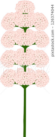 Beautiful shape and colors of pink blossom flower petals. Beautiful shape and colors of pink blossom flower petals. 126374044