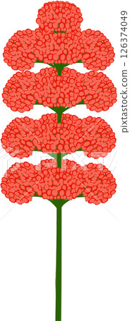Beautiful shape and colors of red blossom flower petals. 126374049