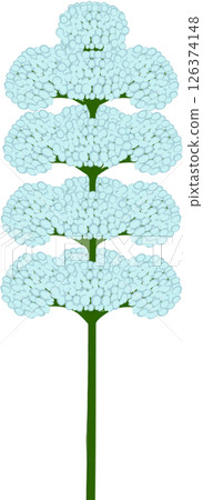 Beautiful shape and colors of blue blossom flower petals. Beautiful shape and colors of blue blossom flower petals. 126374148