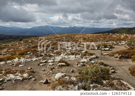 Walking the barren mountain landscape in Tongariro National Park, New Zealand 126374512