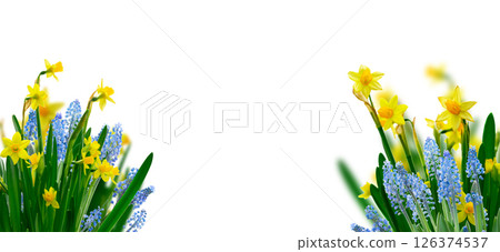 spring flowers in vase 126374537