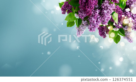 Fresh lilac flowers Fresh lilac flowers 126374551