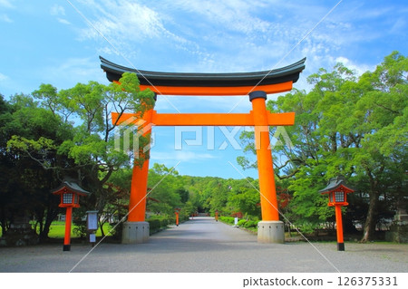 Usa Shrine (torii) 126375331