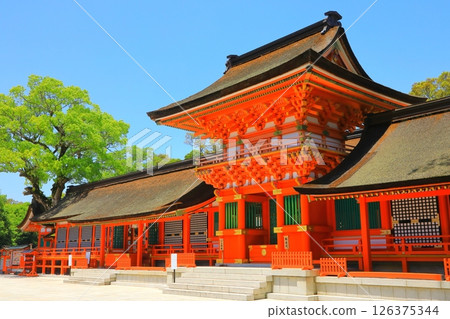 Usajin Miyamoto-dono (National Treasure) 126375344