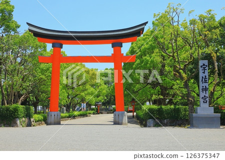 Usa Shrine (torii) 126375347