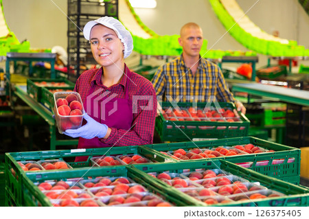 Woman checking and marking peaches in boxes, working at warehouse Woman checking and marking peaches in boxes, working at warehouse 126375405