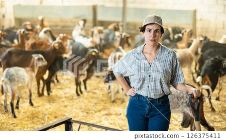 Portrait of focused busy Latin female employee working with hay and straw in barn on goat livestock farm 126375411