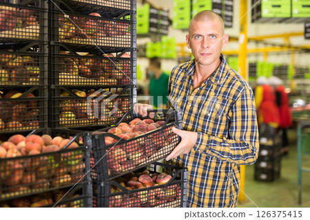 male employee working at warehouse male employee working at warehouse 126375415