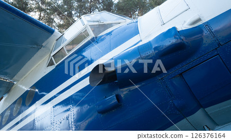 A vintage aircraft with a striking blue exterior and white stripes rests under a canopy of trees, highlighting Soviet aviation history in a peaceful location. 126376164