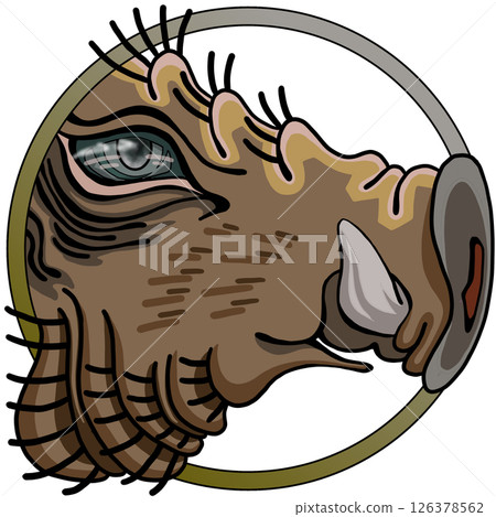 公豬 公豬 126378562