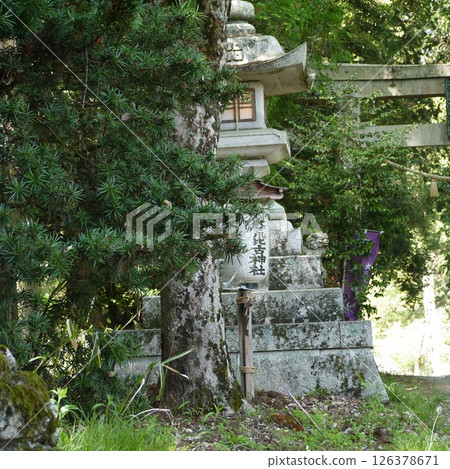 滋賀縣高島市七川祭 126378671