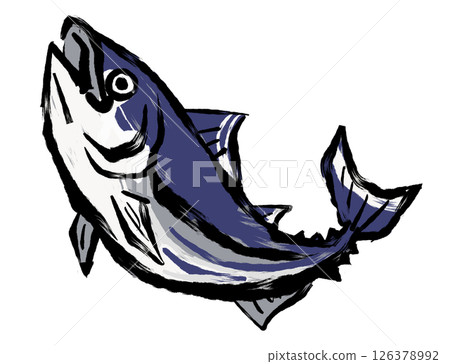 Bonito brush painting illustration 126378992