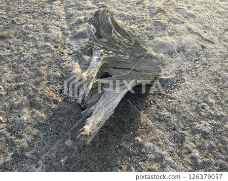 浮木挖土 126379057